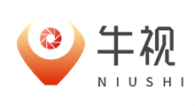 牛視